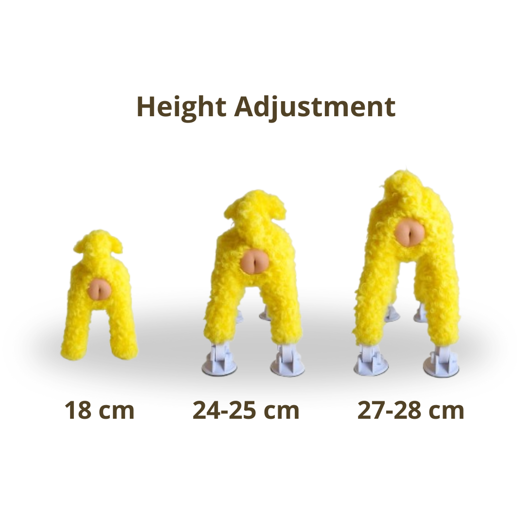 Dog stress relief accessory height adjustment