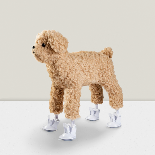 Safe Solution for Male Dogs’ Instincts