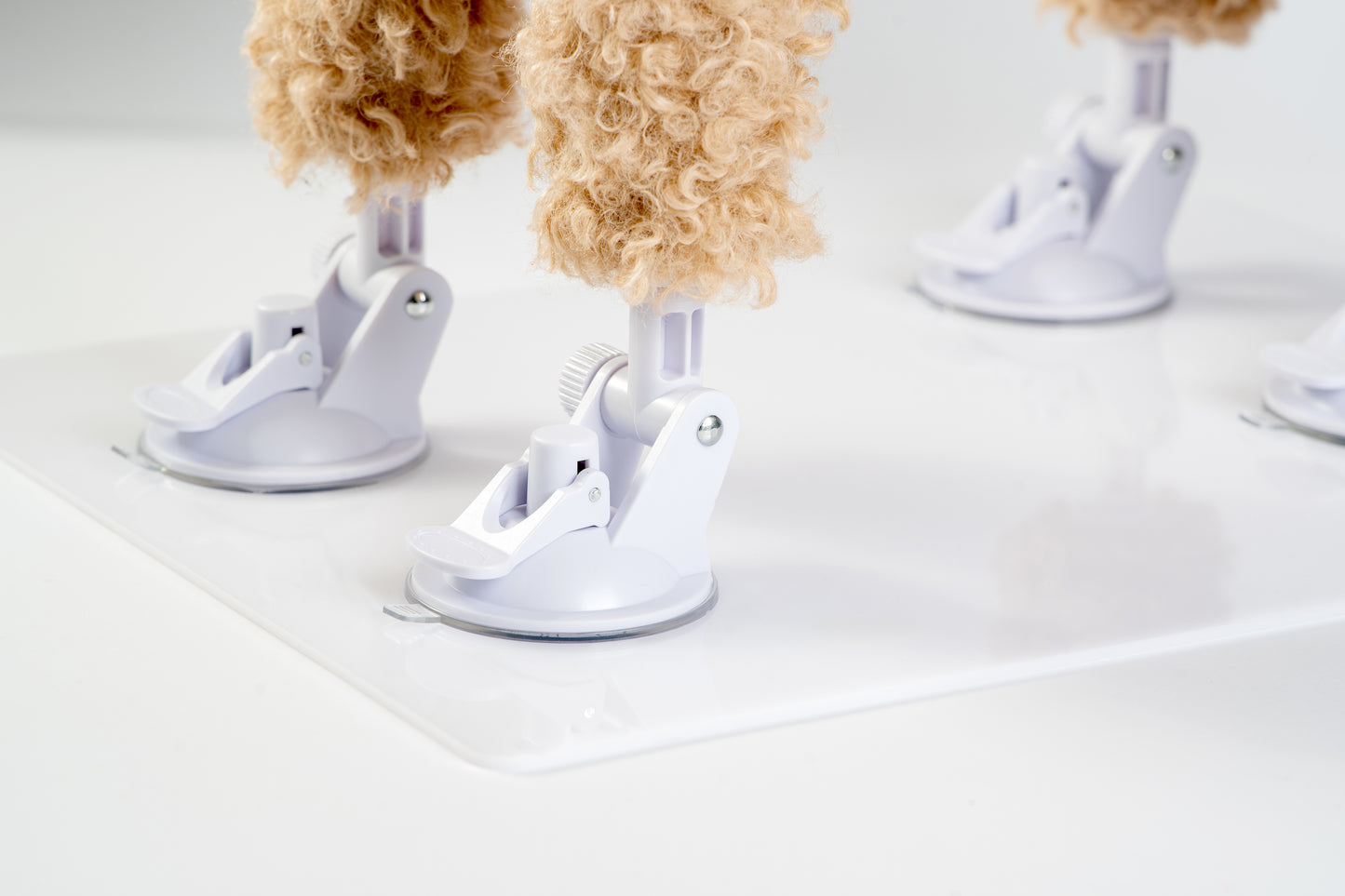 Dog stress relief accessory mounted on plexi base with suction cups in detail