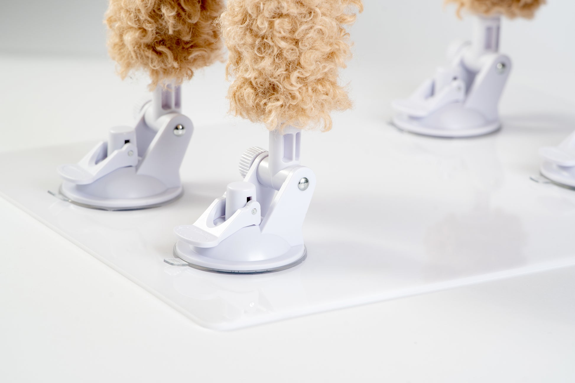 Dog stress relief accessory mounted on plexi base with suction cups in detail